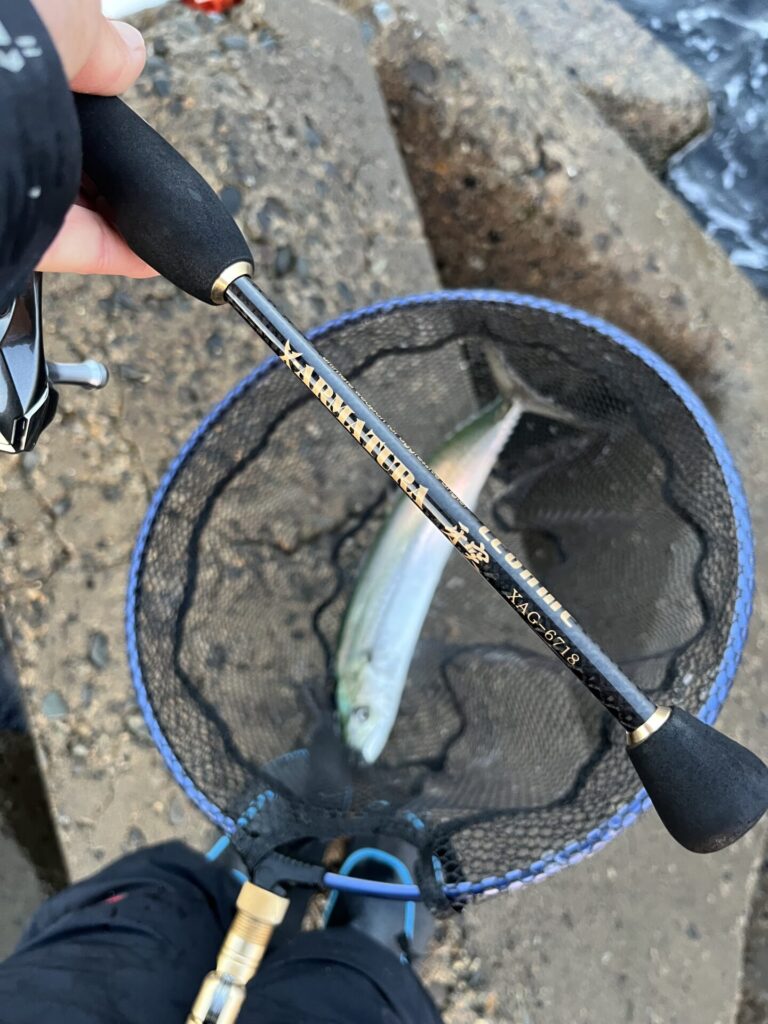 レガーメ牙突（ガトツ） XAG-6718の使用感やインプレ | 遊びを深掘りブログ