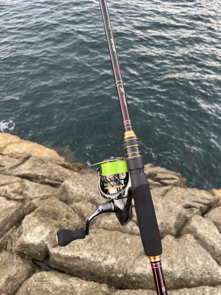 EG-X S86MHをアオリイカエギングで使い込みインプレします | 遊びを深