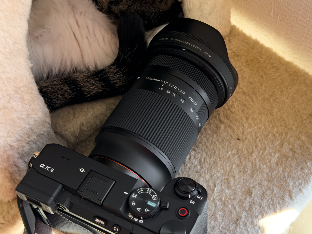シグマのズームレンズは驚きの軽さと扱いやすさで猫撮り散歩がもっと