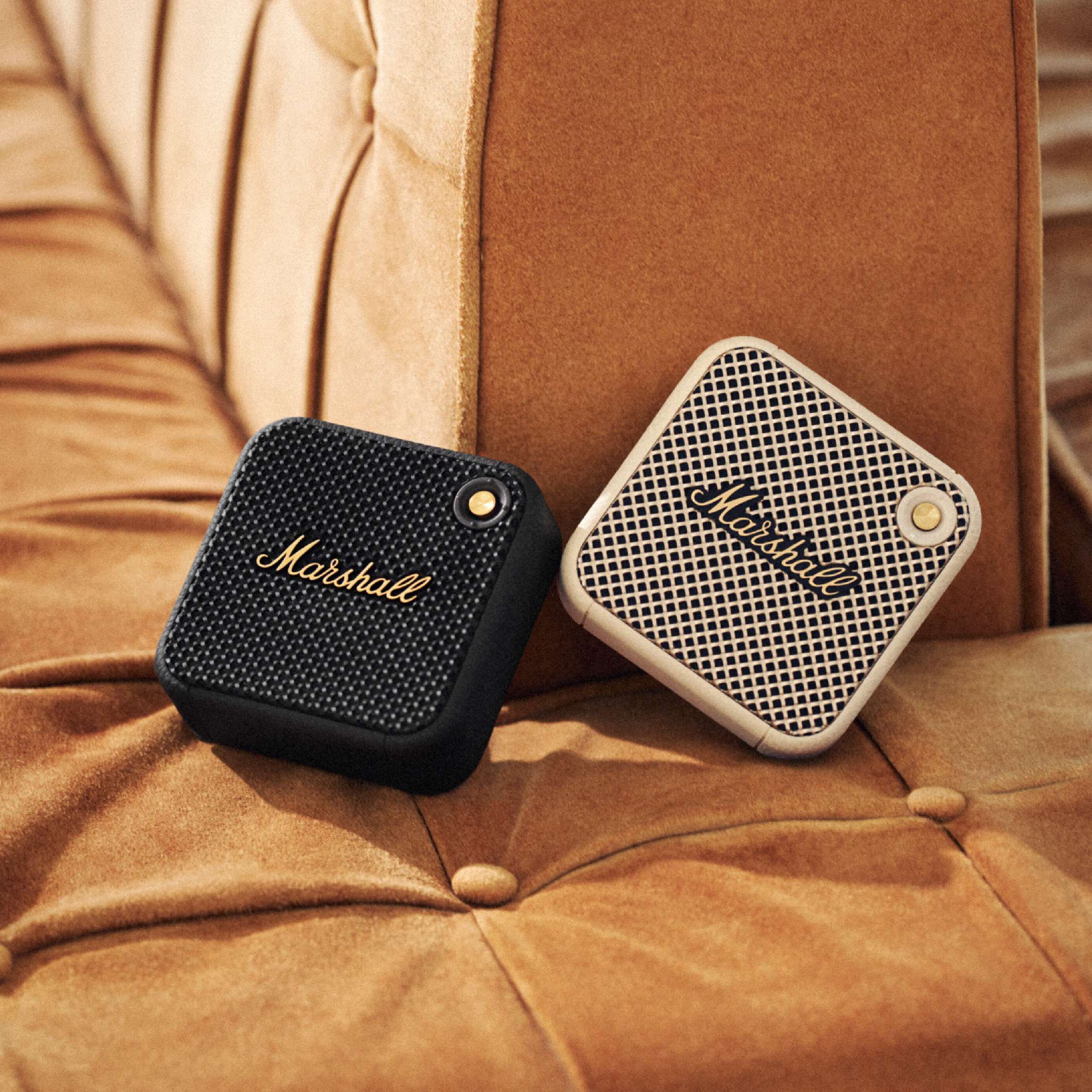 MARSHALL WILLEN - Ash Asia