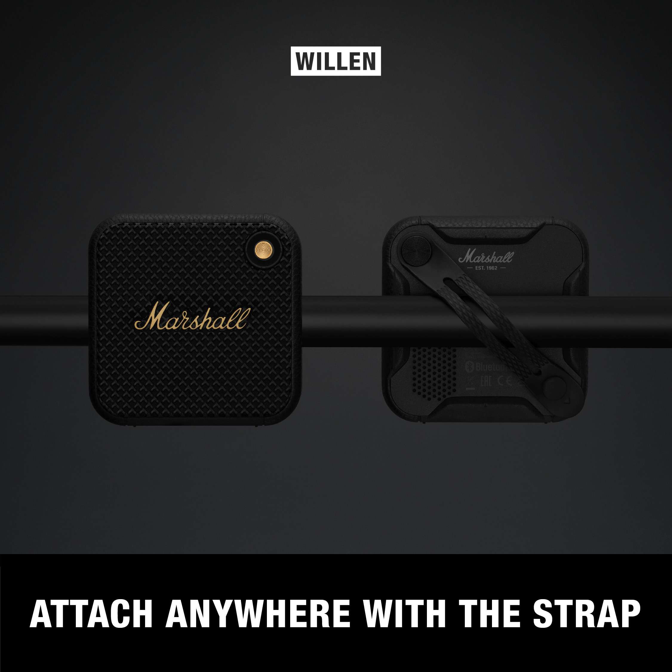 MARSHALL WILLEN - Ash Asia