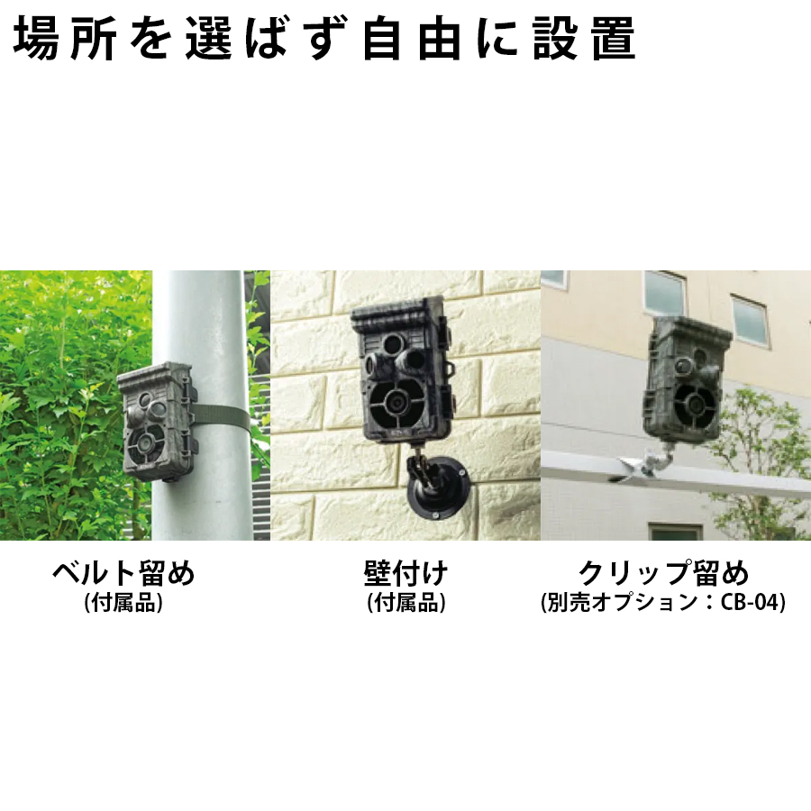 AT-2 | 乾電池・ソーラーバッテリー センサーカメラ【キャロット