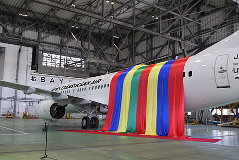 日本トランスオーシャン航空、安室奈美恵とのタイアップ機「AMURO JET