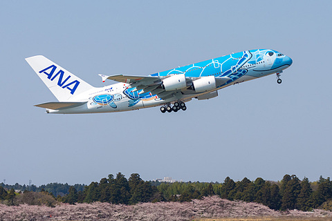 いよいよ明日就航。ANAのエアバス A380型機「FLYING HONU（空飛ぶ