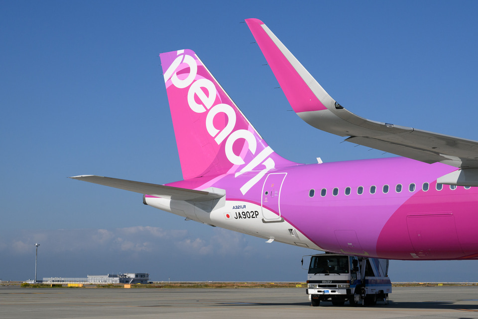 ピーチ A321LR JA901P MM10011 EVER RISE PEACH / ピーチ A321LR