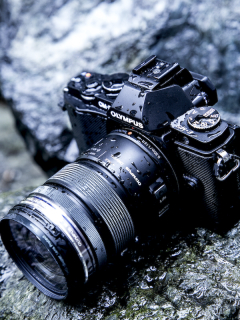 気になるデジカメ長期リアルタイムレポート：OLYMPUS OM-D E-M5【第3回