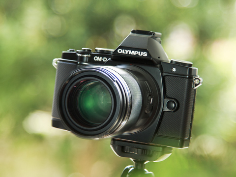 特別企画：望遠マクロレンズで「春」を撮る - デジカメ Watch