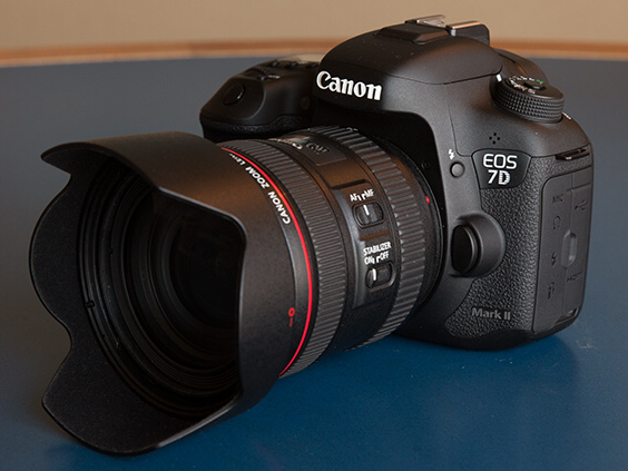 新製品レビュー：キヤノンEOS 7D Mark II（実写編） - デジカメ Watch