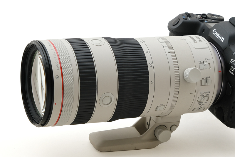 交換レンズレビュー：キヤノン RF70-200mm F2.8 L IS USM Z - デジカメ