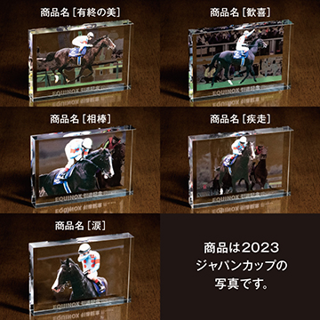 世界最強馬「イクイノックス」引退記念 純金プレート・純金カード