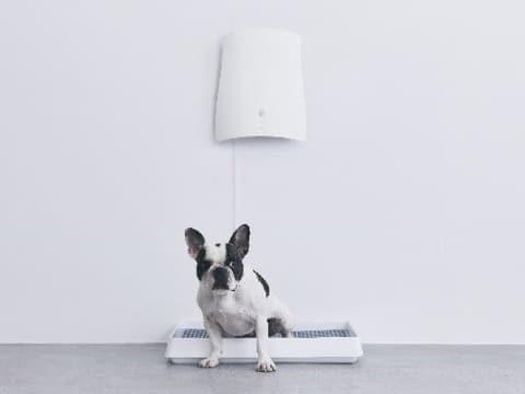 サンスターから壁掛け脱臭機。ペットのトイレ臭に着目 - 家電 Watch