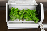 沖縄セルラーが家庭向け水耕栽培キット「やさい物語」 - ケータイ Watch