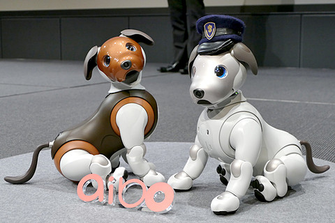 2年目を迎えたaibo、「犬のおまわりさん」になる ～ソニー、見守り機能