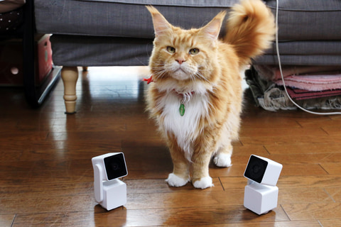 レビュー】自動追尾カメラで不審者もペットもロックオン。ほぼ全天球を