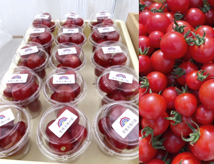 ブランディング支援】AI×トマトジュースで商品に高付加価値を