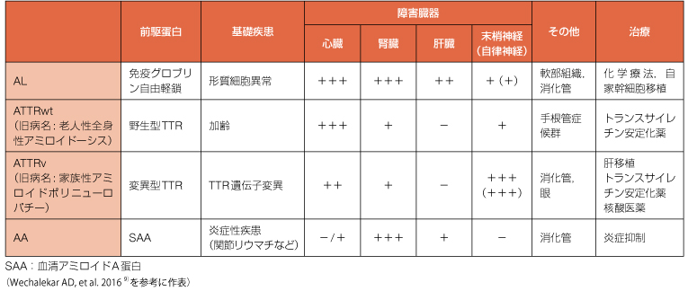 第5回〕心アミロイドーシス診療ガイドライン | 日本心臓病学会監修