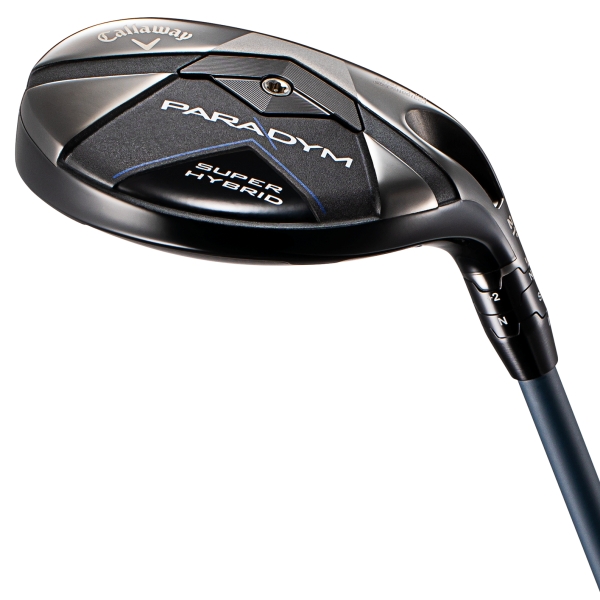 パラダイム スーパーハイブリッド／PARADYM SUPER HYBRID