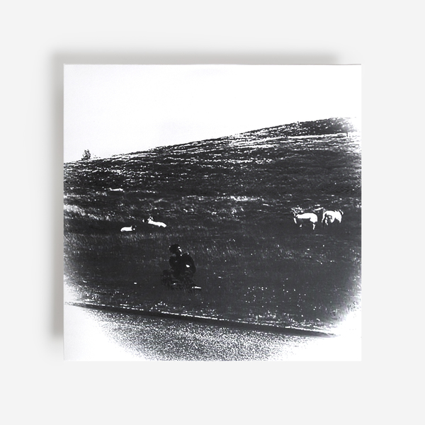 Pretty V - Destiny of Illusion - Boomkat