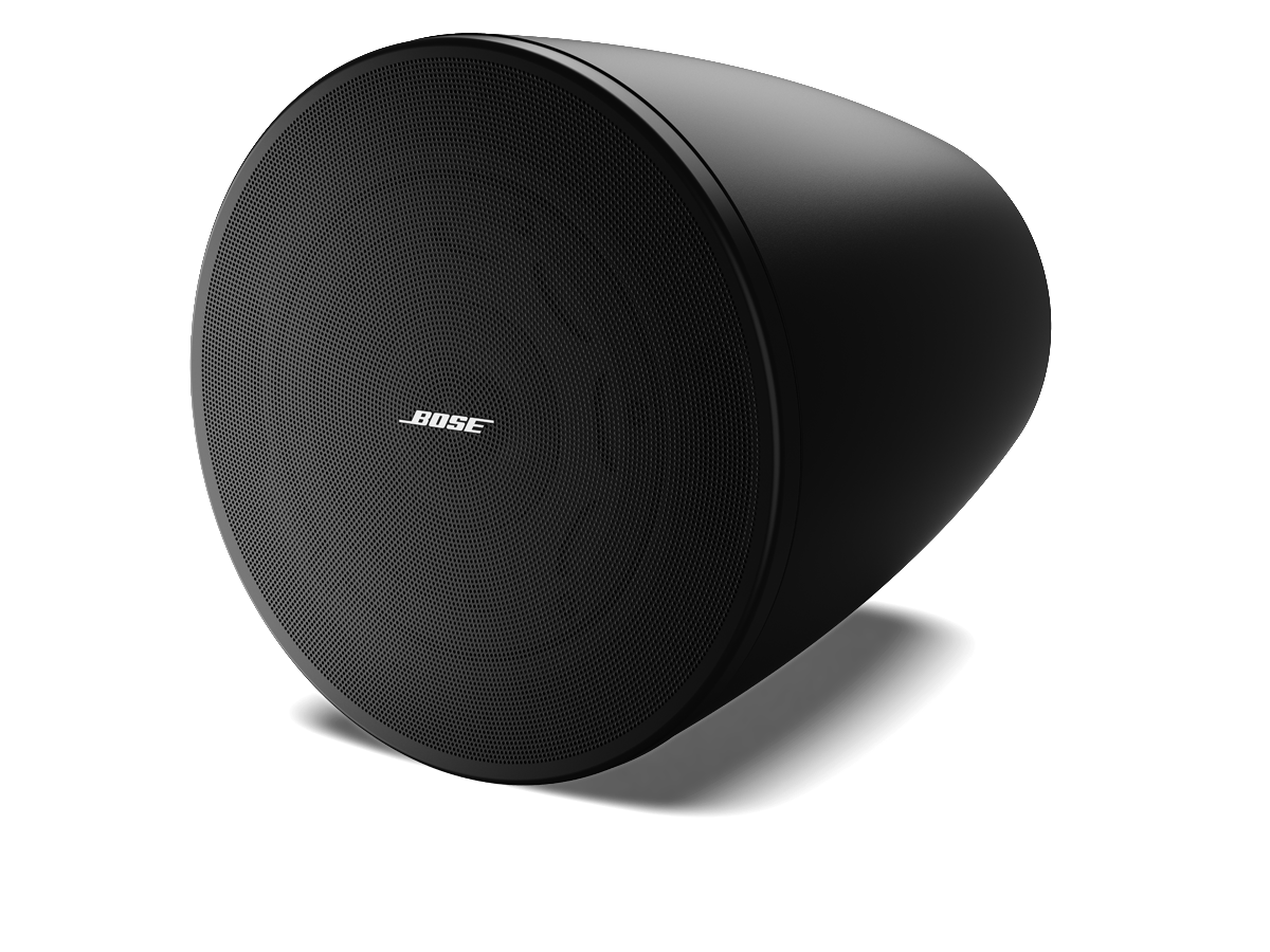 DesignMax DM6PE | Bose Professional