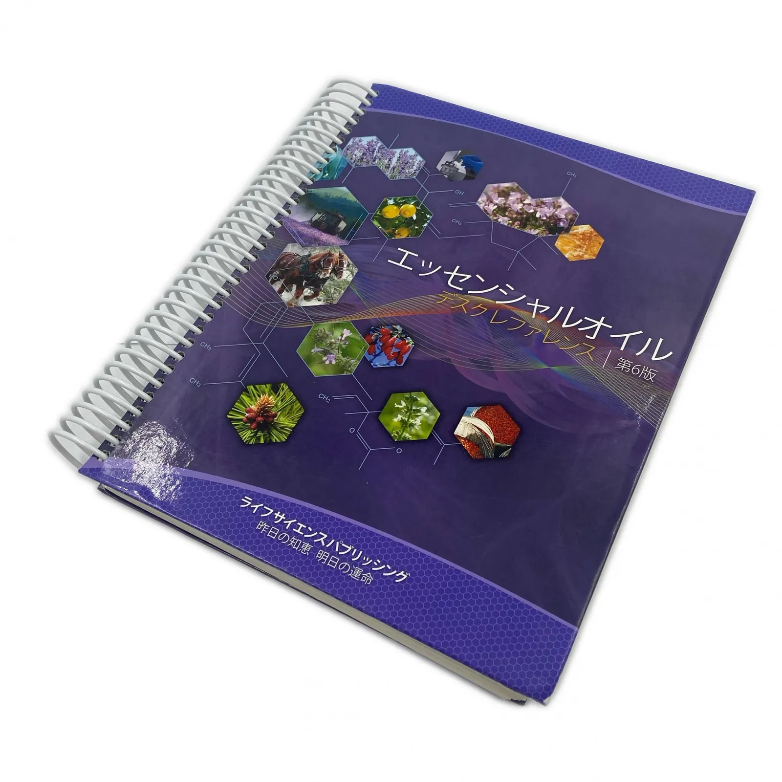 mikasaヤングリヴィング デスクレファレンス第6版 絶版商品 mikasa