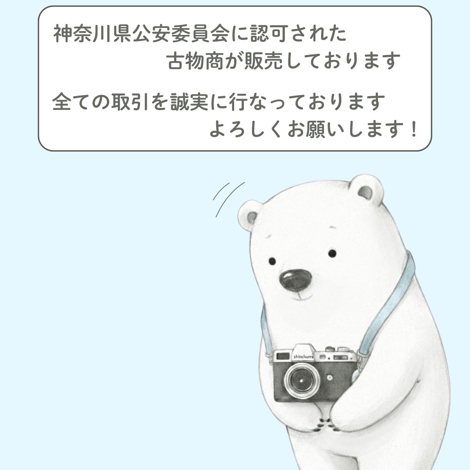 Nikon COOLPIX S520 デジカメ スマホ転送OK フルセット 極美品 a5860