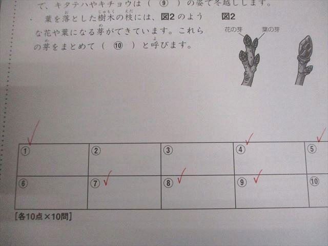 SAPIX サピックス 小4 理科 デイリーサピックス 2021年度版 通年セット