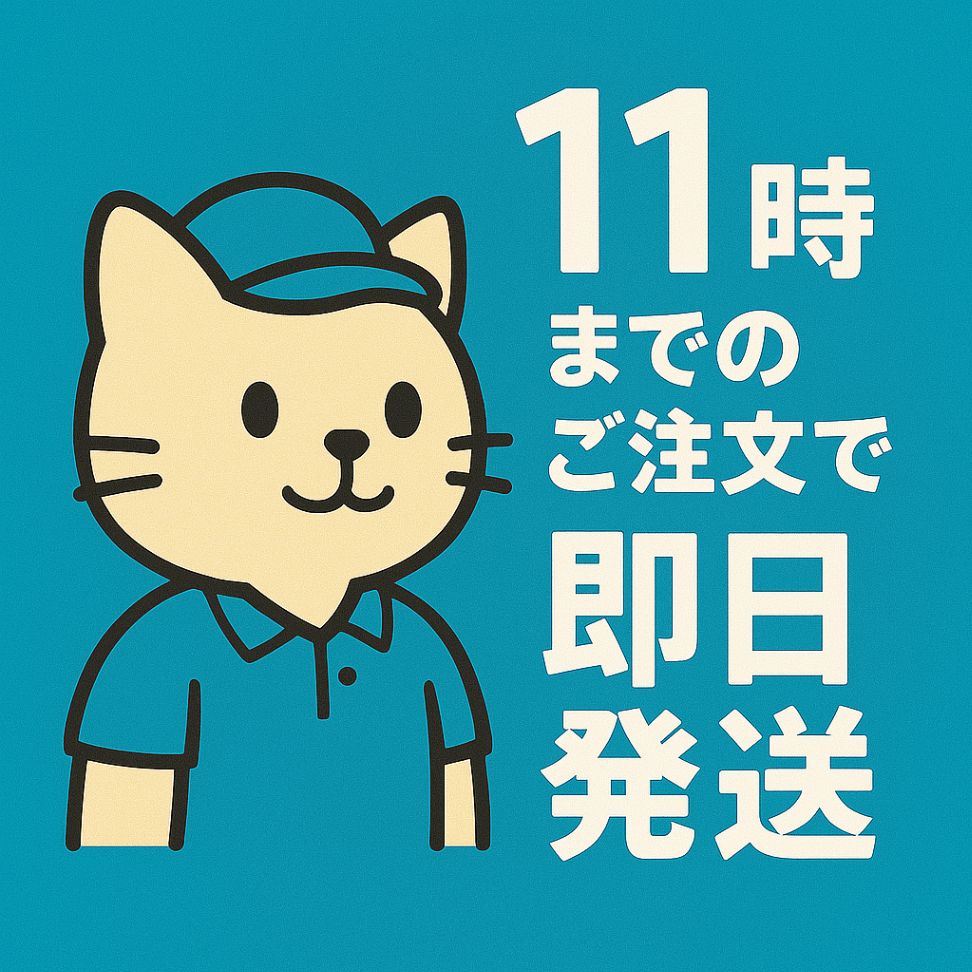 MAIDEN JAPAN / MONDAY MICHIRU (CD) - メルカリ