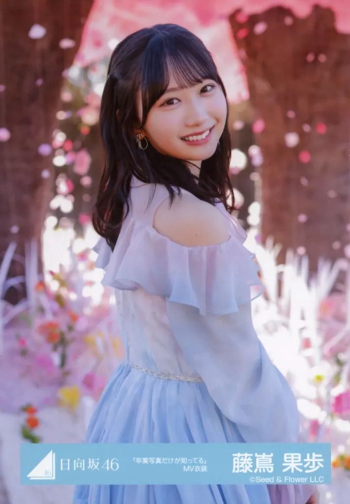 中古】生写真(乃木坂46) 藤嶌果歩/上半身・桜/日向坂46ランダム生写真