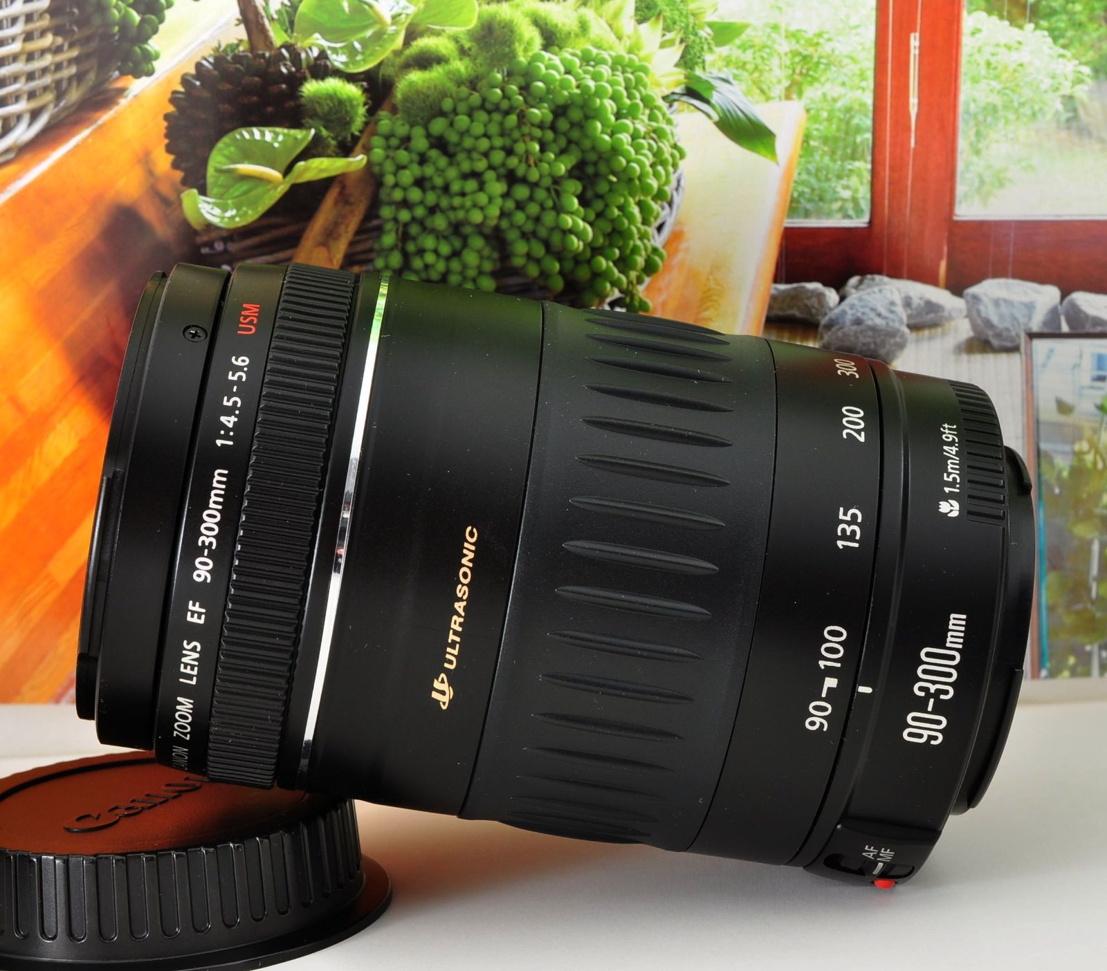 Canon EF 90-300mm F4.5-5.6 USM 望遠ズームレンズ EOS一眼レフ対応