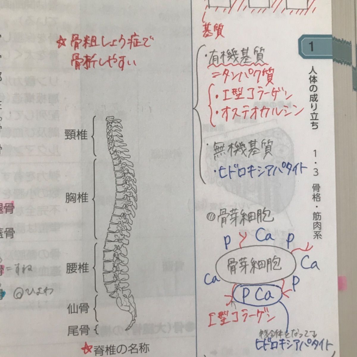 青本2022年版 - メルカリ