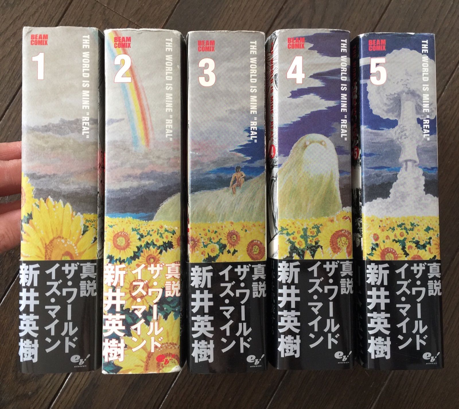 真説 ザ・ワールド・イズ・マイン 全5巻セット 新井英樹 - メルカリ