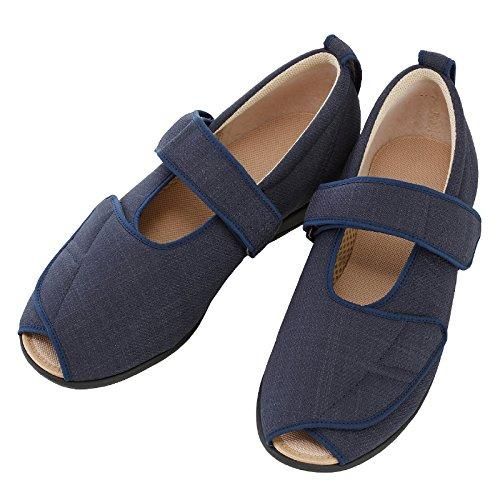 注文 空飛ぶ前衛抽象画家、糸川裕志の水彩画、富士山曼荼羅の初期の作品、