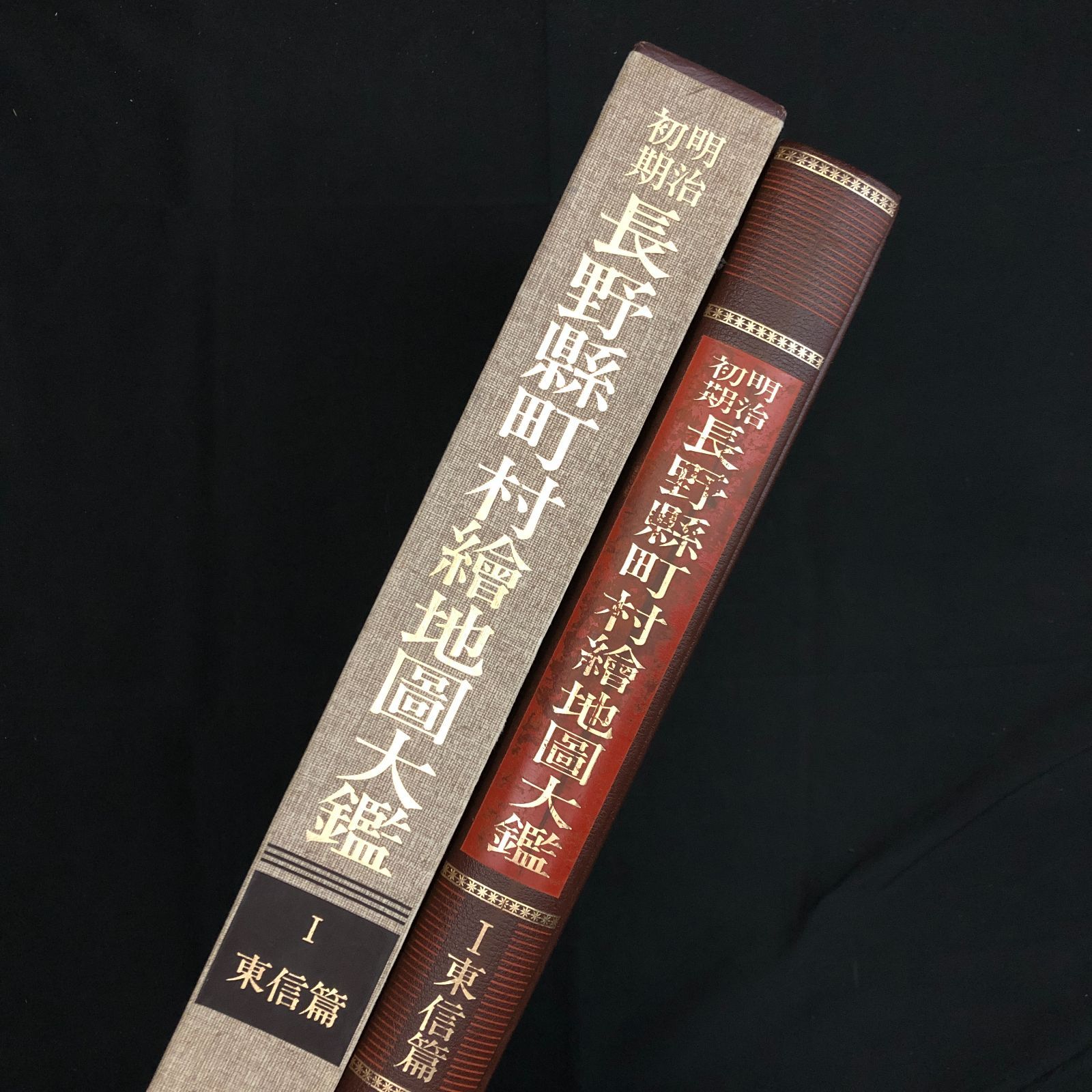 明治初期長野県町村絵地図大鑑 1 東信篇 滝沢主税 編 郷土出版社 1985