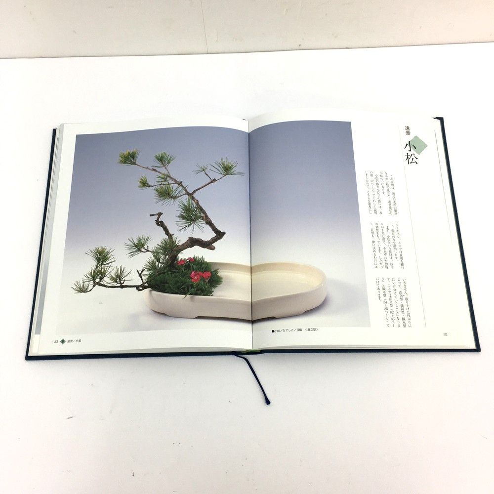 新版 小原流 様式集成 本 小原規容子 生け花 写景盛花 色彩盛花