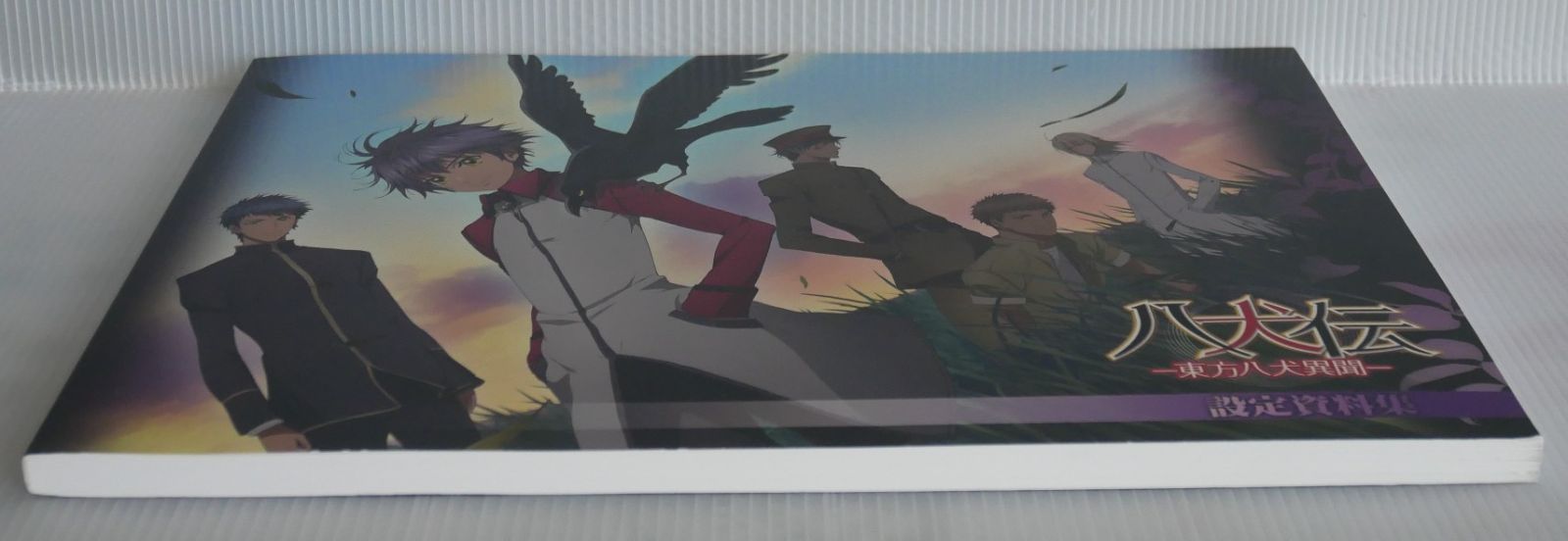 八犬伝 東方八犬異聞 設定資料集 ムービック あべ美幸 Amazon.co.jp