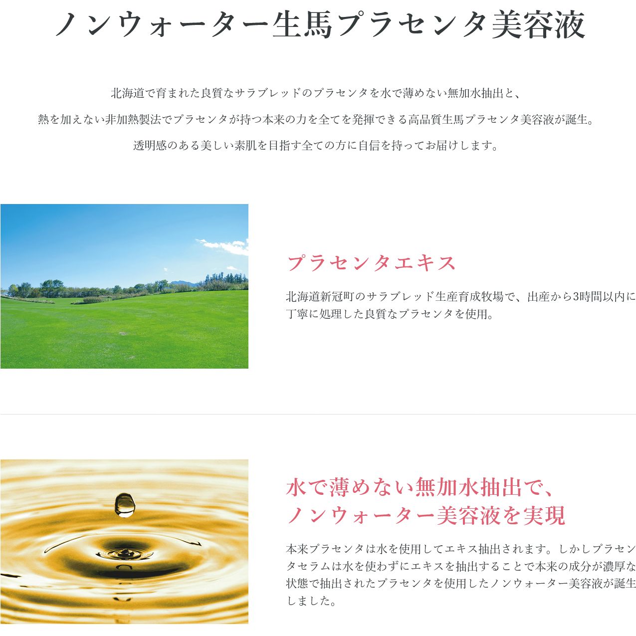 WMT PLACENTA SERUM プラセンタ セラム ホースPLセラム ノンウォーター