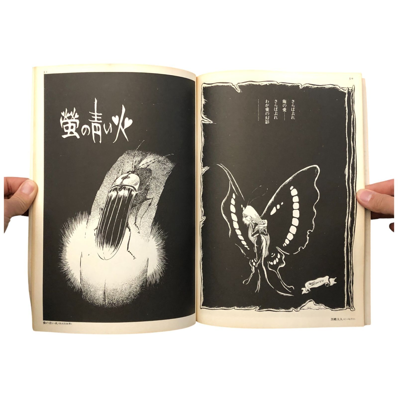 松本零士の世界 イラストアルバム〈アニメージュ〉 松本零士 東映株式