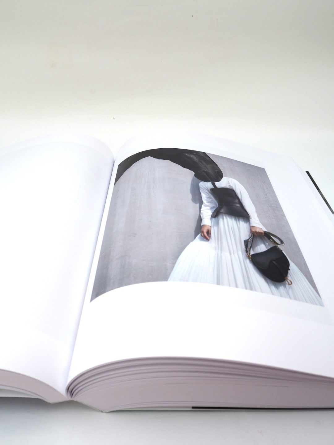 PHOSPHOR by Viviane Sassen ヴィヴィアンサッセン 写真集 □送料込み
