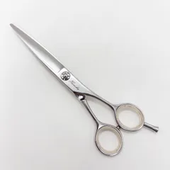 2026年最新】サイキシザーの人気アイテム - メルカリ