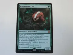 2026年最新】アナグマモグラの仔の人気アイテム - メルカリ