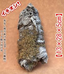 M528 ポルトガル産 厚め コルク樹皮 コルク板 バージンコルク 送料無料