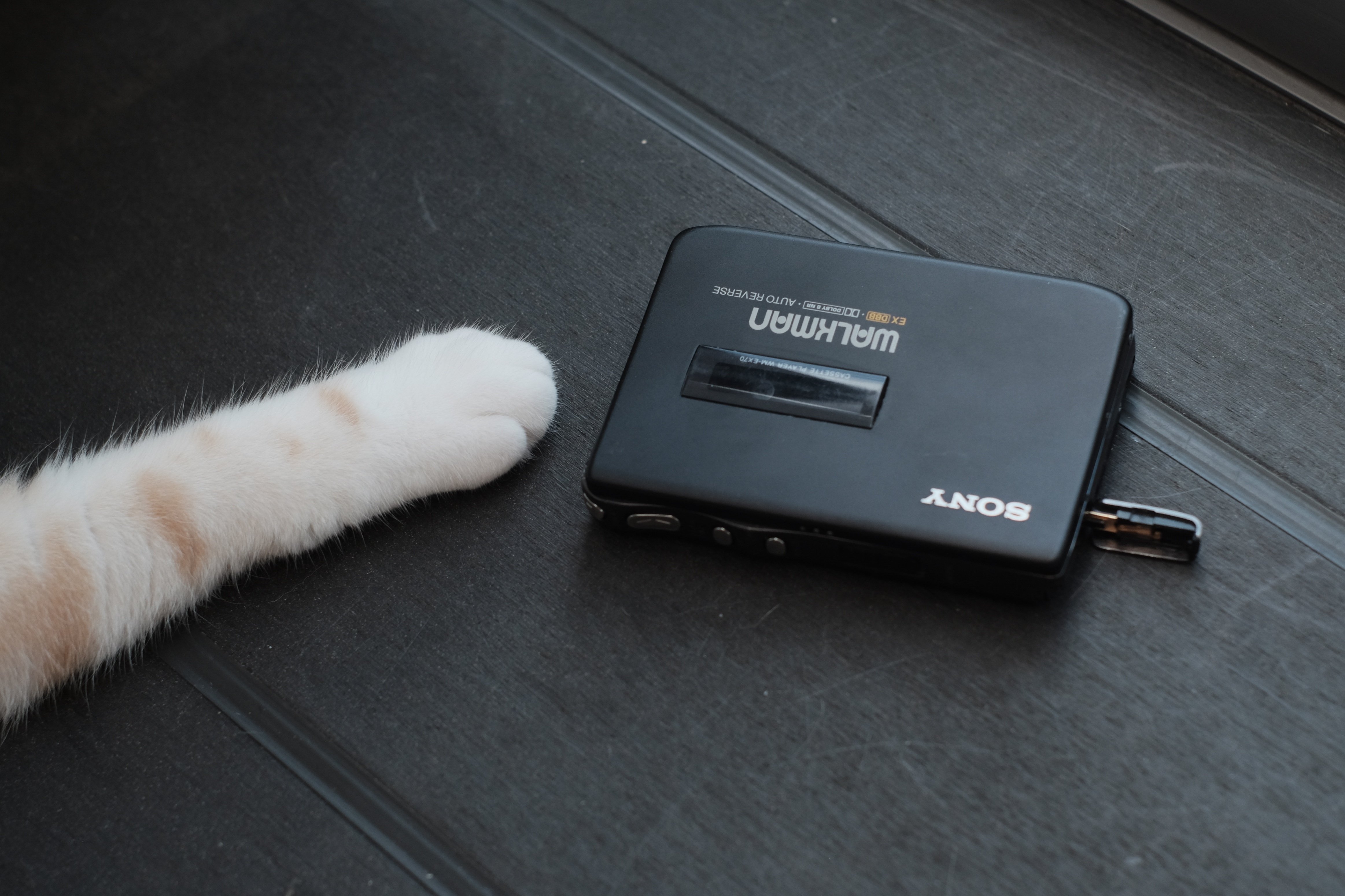 EXの原点 WM-EX70 (ウォークマン紹介#3)｜早川/Hayakawa