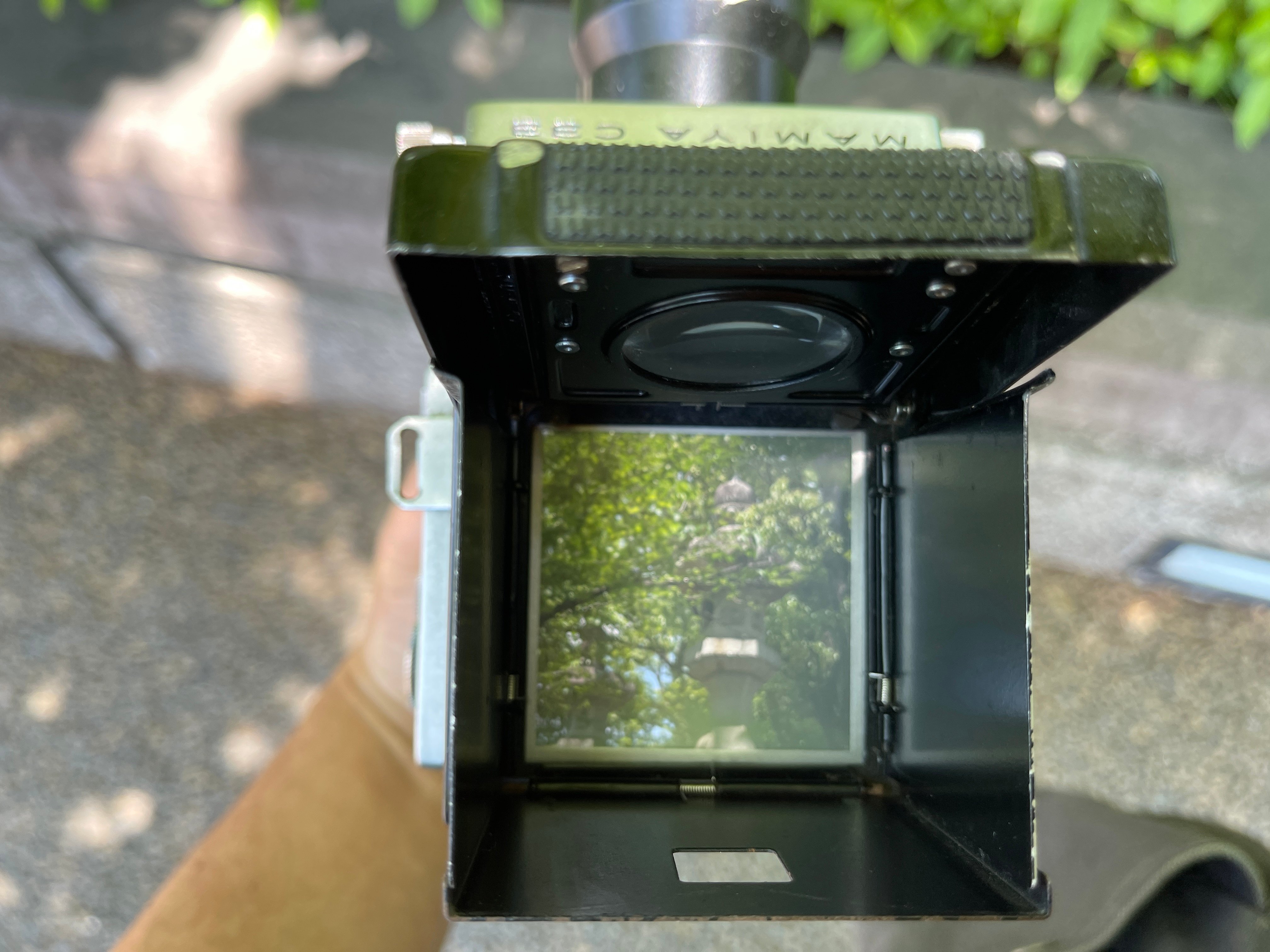 二眼レフの魅力を語りたい｜怪力熊男