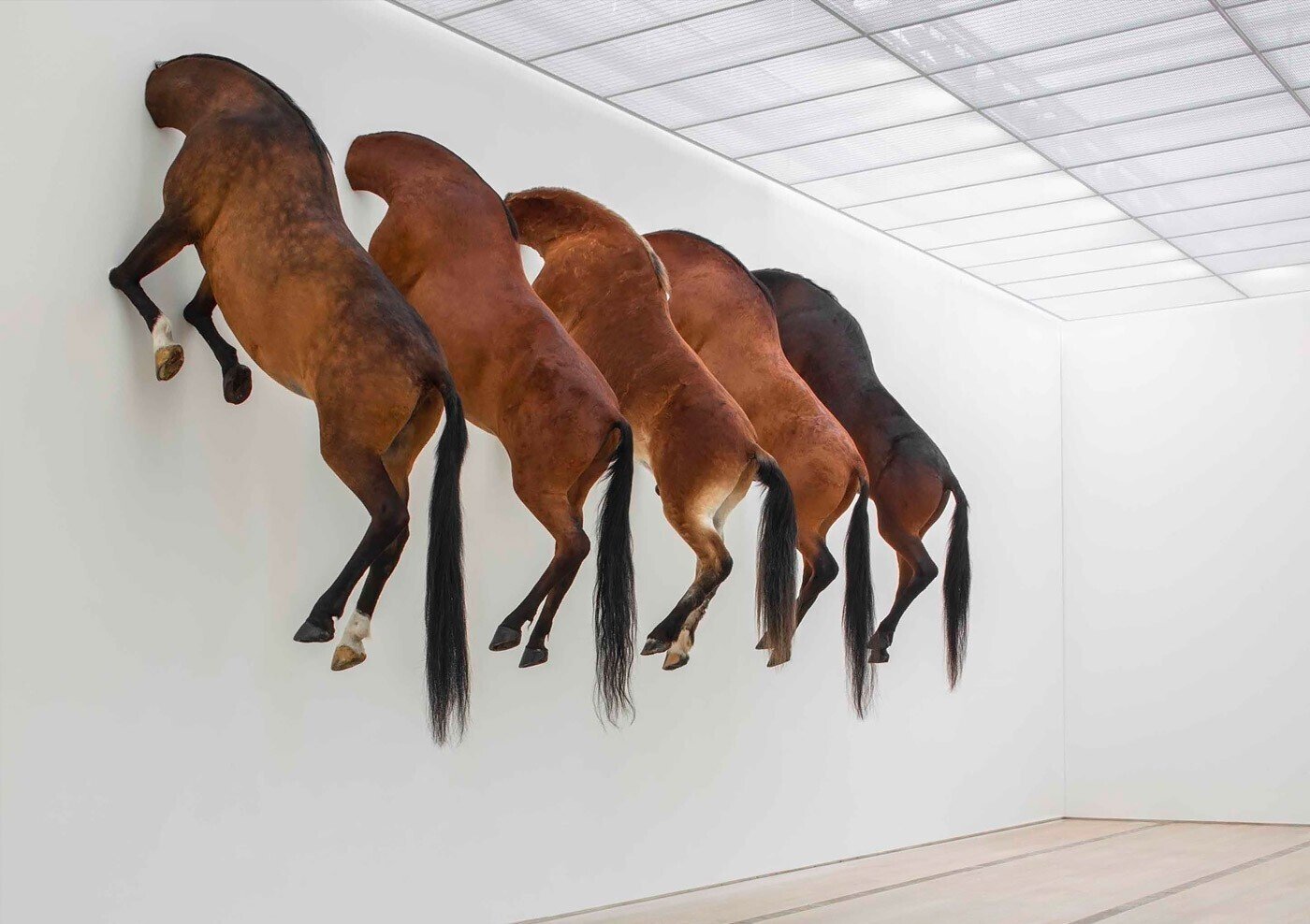 カテランはインフルエンサーなのか..｜artoday - chiaki