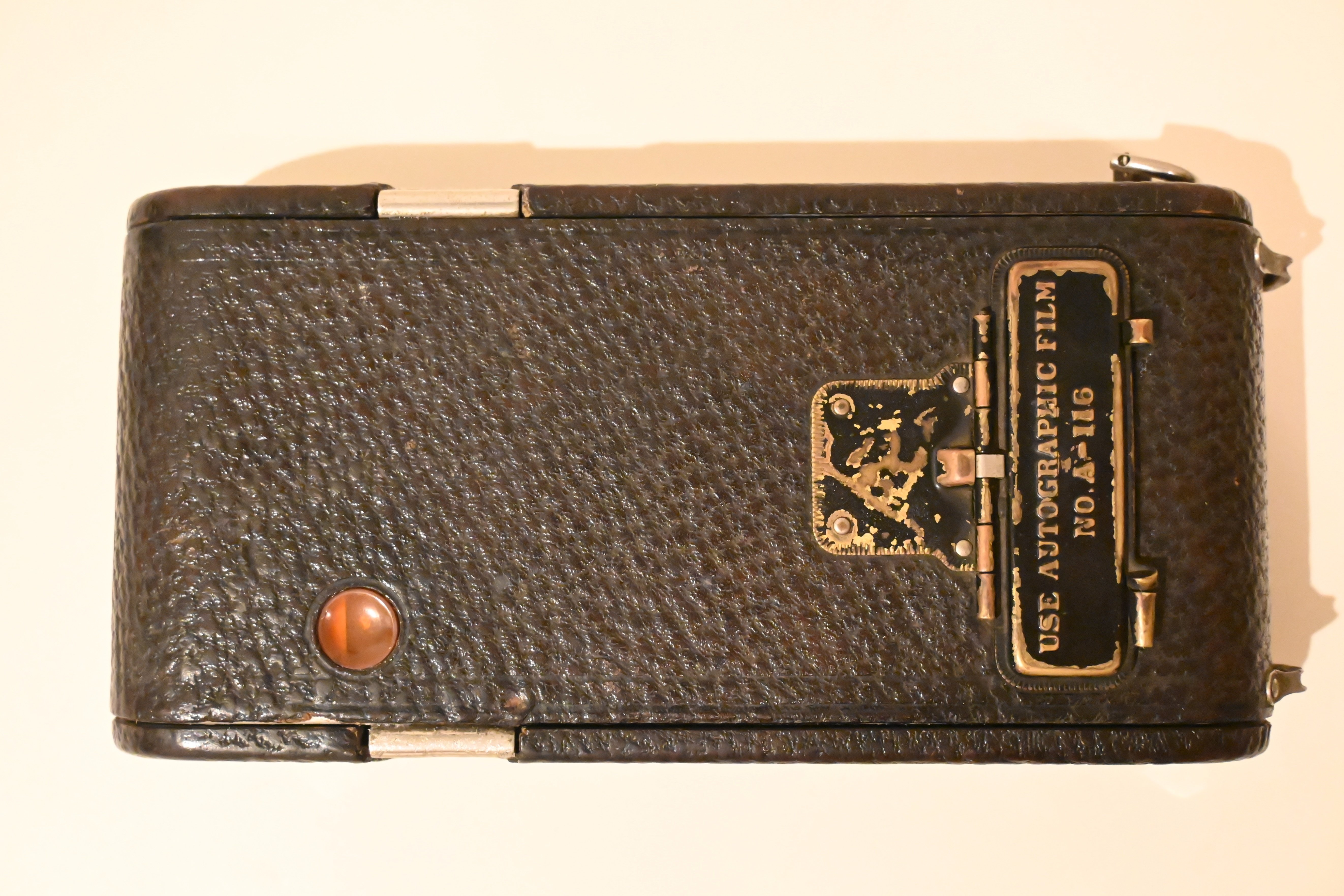 100年前のカメラ｜ライザメ