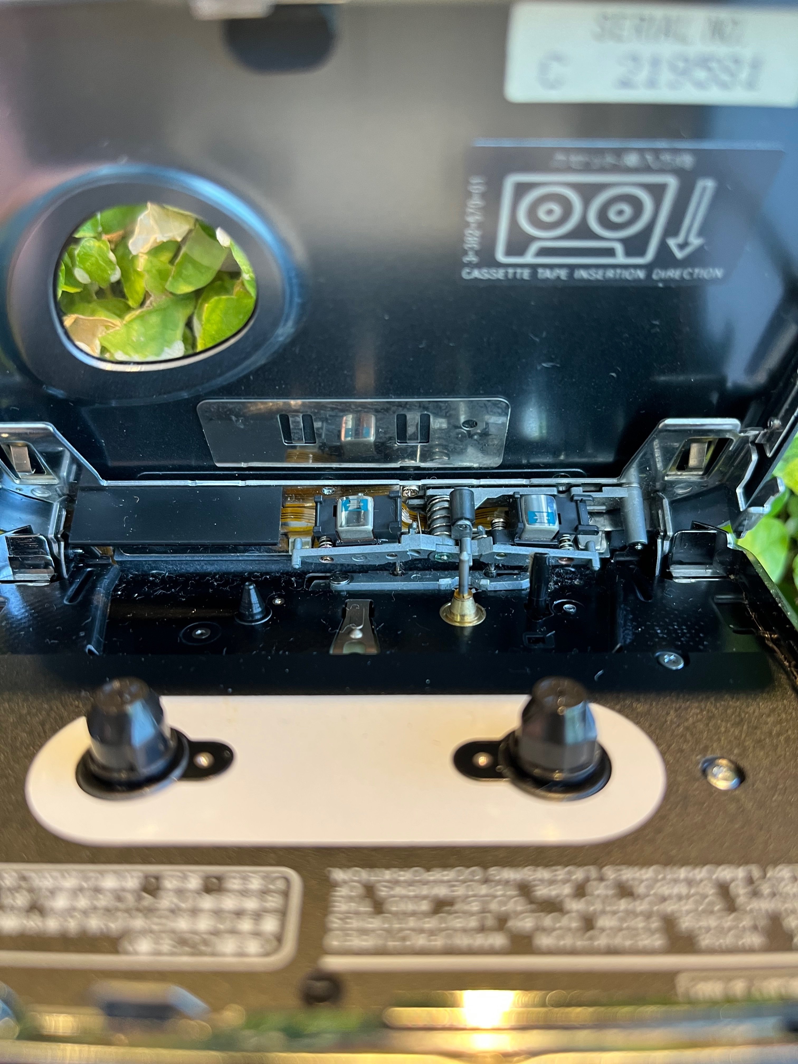 今日のカセットウォークマン履歴20230509｜リョウ