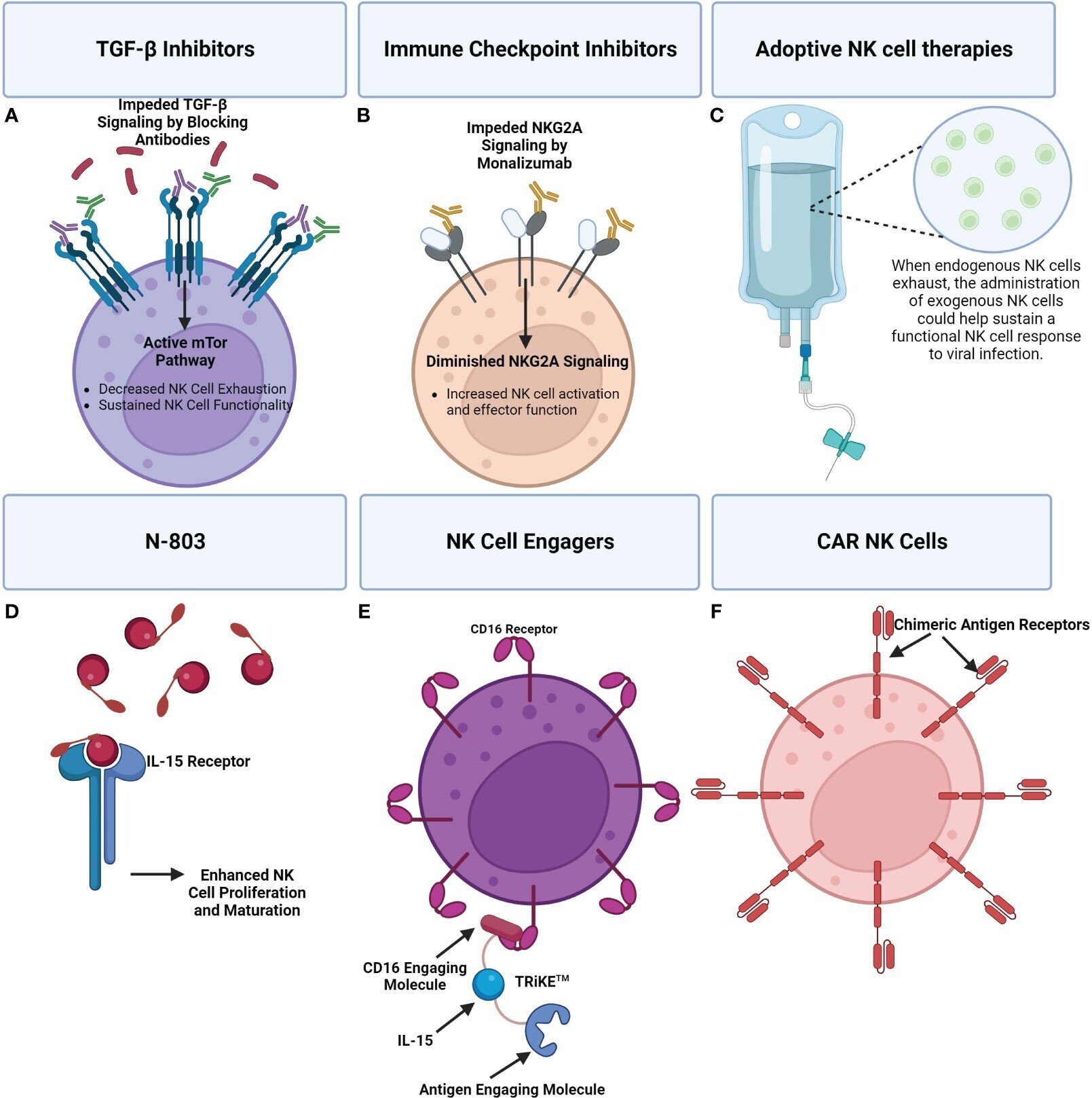 ウイルス感染時のNK細胞サブセットと機能不全：治療薬の新たな道？｜ヤオナ