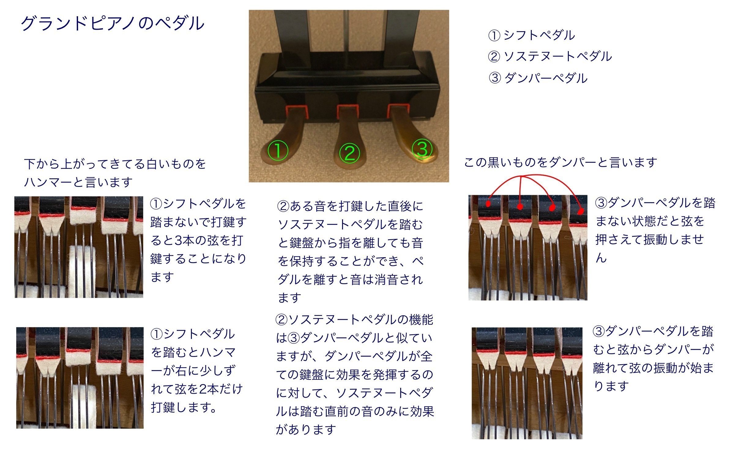 31.楽器のこと🎹】ペダルのこと｜ゆみこ