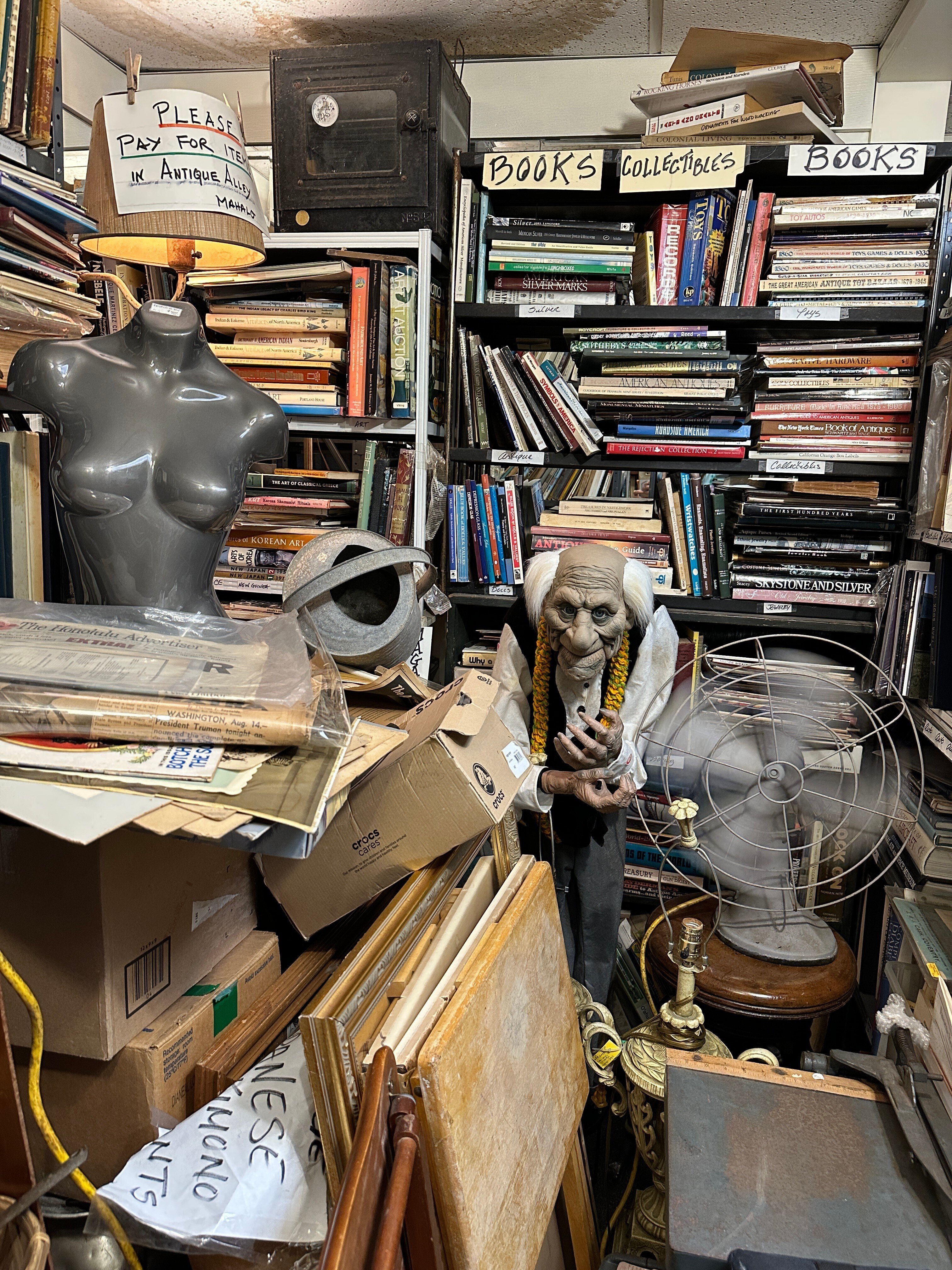 連載】ヴィンテージまみれなハワイでの日々｜ヤマケイの本