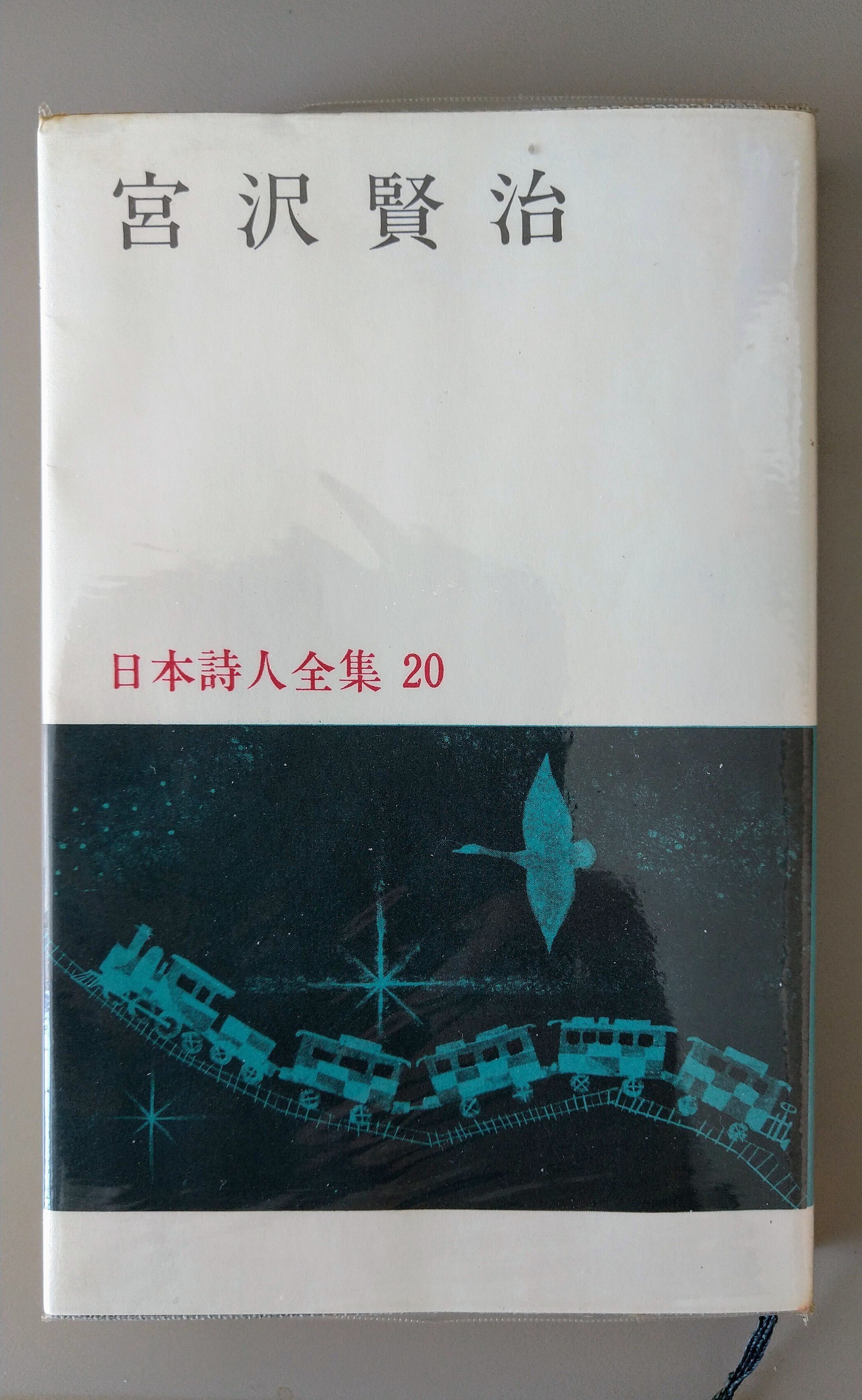 エッセイ｜宮澤賢治語彙辞典を買ってみた｜あさぎ とち